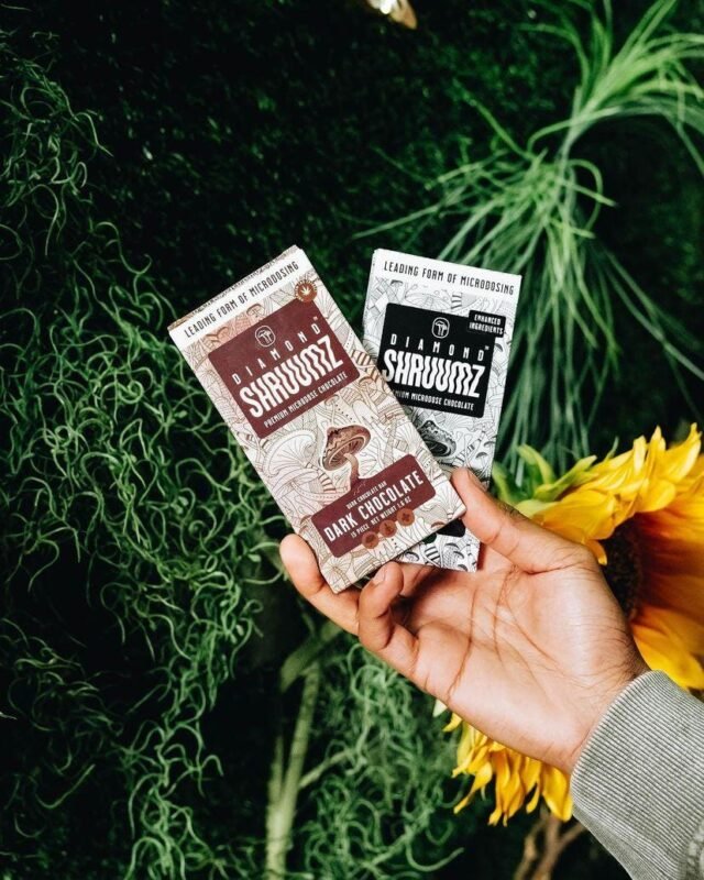 black diamond mushroom chocolates
