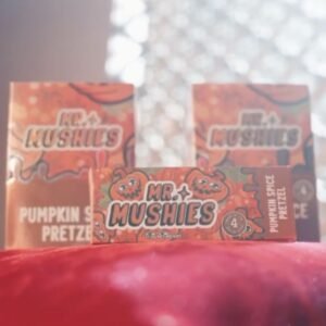 Mr Mushies Pumpkin Spice Pretzel