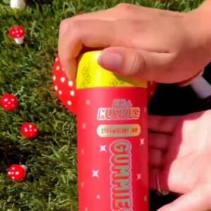 Mr mushies strawberry jam mushroom gummies