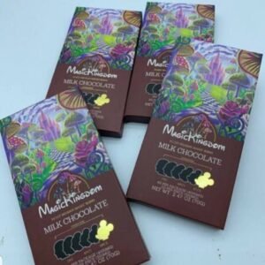 magic kingdom mushroom chocolate Bar