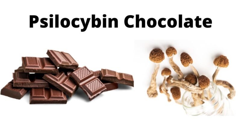 Mushroom Chocolate Bar Canada
